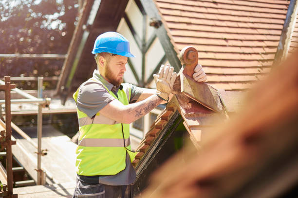 Best Roof Gutter Cleaning  in Conroe, TX